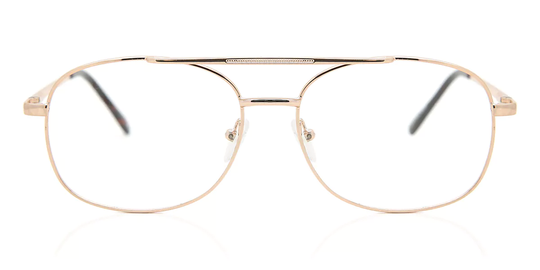 SmartBuy Collection Randwick Glasögon