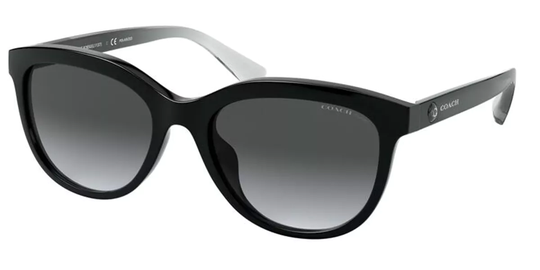Coach HC8285U Polarized Solglasögon