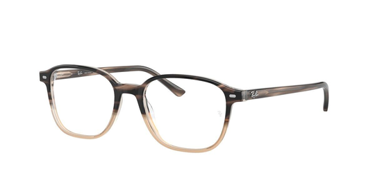 Ray-Ban RX5393 Leonard Glasögon