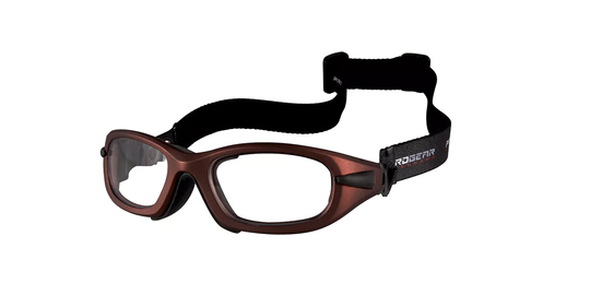 PROGEAR EG-L1031 Eyeguard Glasögon