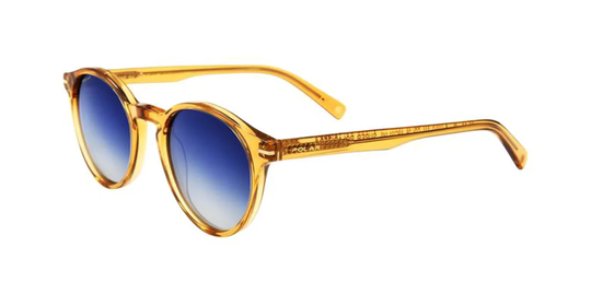Polar GOLD 111 Polarized Solglasögon
