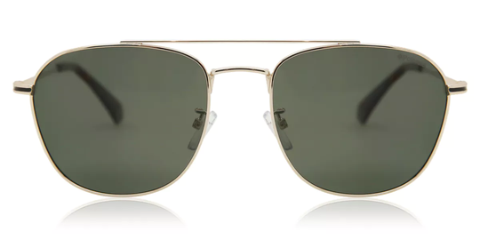 Polaroid PLD 2084/G/S Polarized Solglasögon