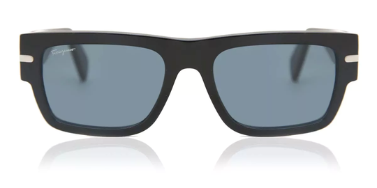 Salvatore Ferragamo SF 1030S Solglasögon