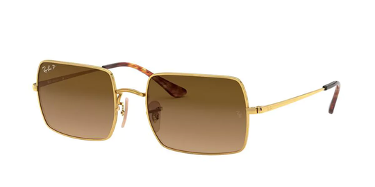 Ray-Ban RB1969 Polarized Solglasögon