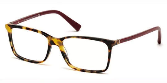 Ermenegildo Zegna EZ5027 Glasögon