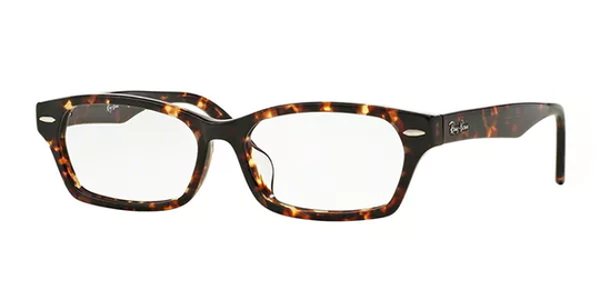 Ray-Ban RX5344D Icons Asian Fit Glasögon