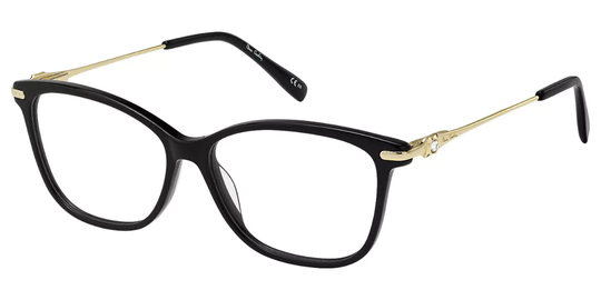 Pierre Cardin P.C. 8480 Glasögon