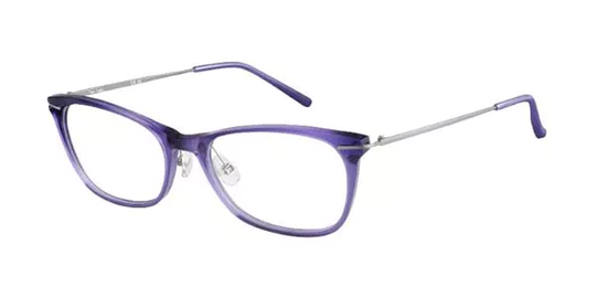 Pierre Cardin P.C. 8429 Glasögon