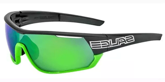 Salice 016 RWP Polarized Solglasögon