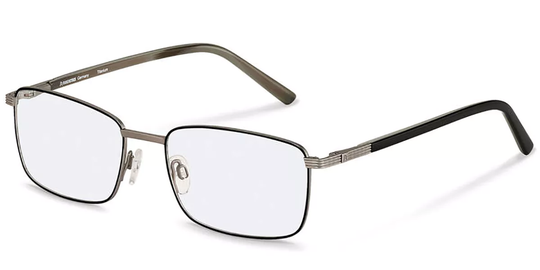 Rodenstock R7089 Glasögon