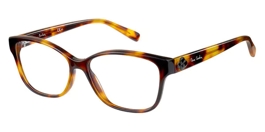 Pierre Cardin P.C. 8450 Glasögon