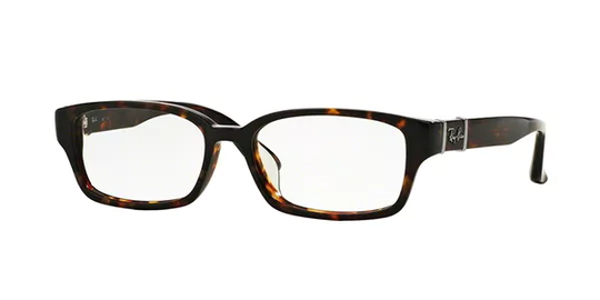 Ray-Ban RX5158 Highstreet Glasögon