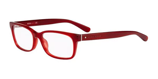 Boss by Hugo Boss Boss 0790 Glasögon