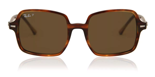Ray-Ban RB1973 Polarized Solglasögon