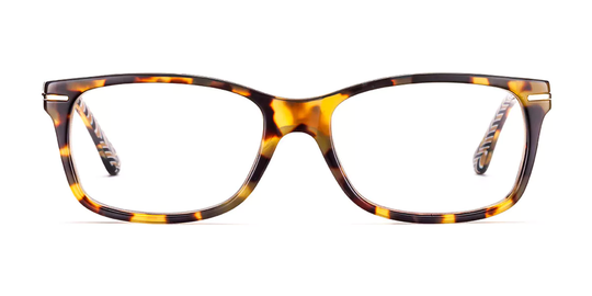 Etnia Barcelona Bedford Glasögon