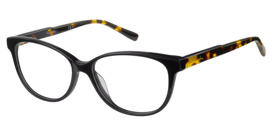 Pierre Cardin P.C. 8466 Glasögon