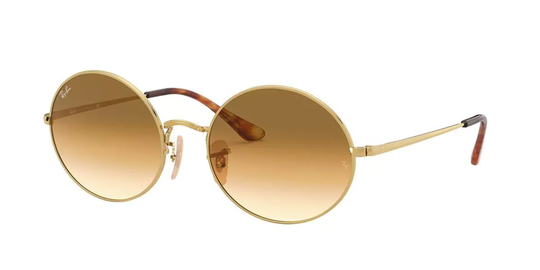 Ray-Ban RB1970 Solglasögon