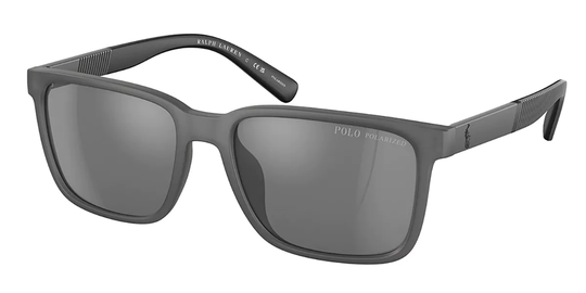 Polo Ralph Lauren PH4189U Polarized Solglasögon