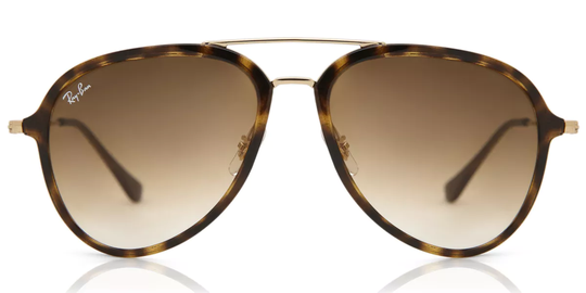 Ray-Ban RB4298 Solglasögon
