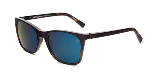 Etnia Barcelona Montsio Polarized Solglasögon