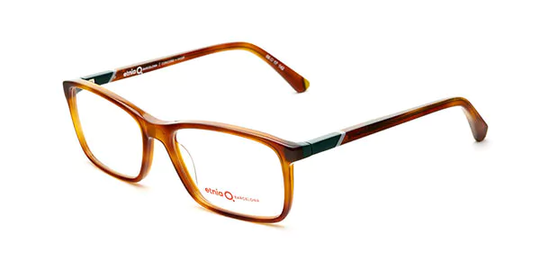 Etnia Barcelona Concord Glasögon