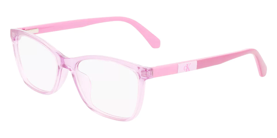 Calvin Klein Jeans CKJ22304 Glasögon