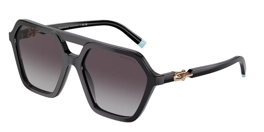 Tiffany & Co. TF4198 Solglasögon