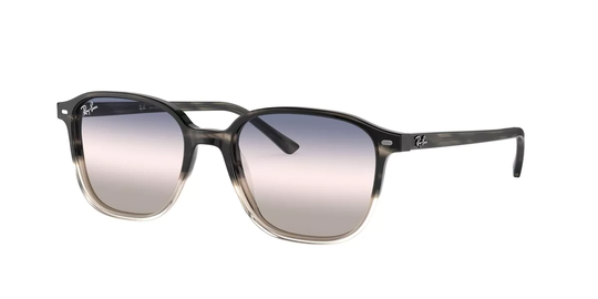 Ray-Ban RB2193 Leonard Solglasögon