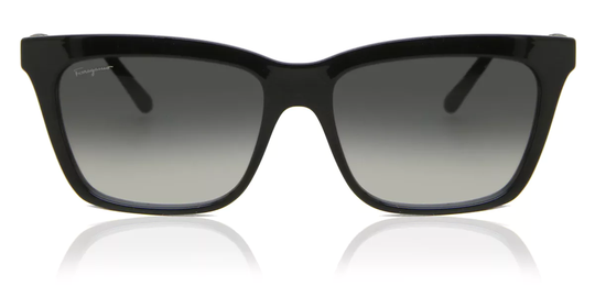 Salvatore Ferragamo SF 1027S Solglasögon