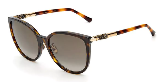 Jimmy Choo Raye/G/SK Asian Fit Solglasögon