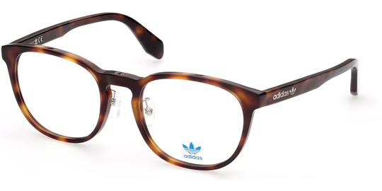 Adidas Originals OR5014-H Glasögon