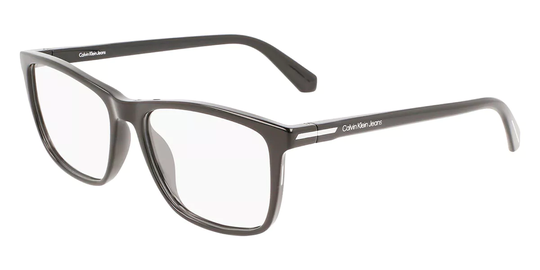 Calvin Klein Jeans CKJ22615 Glasögon