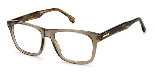 Carrera 249 Glasögon