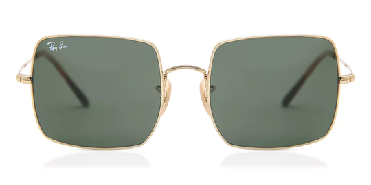 Ray-Ban RB1971 Solglasögon