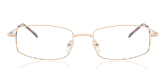 SmartBuy Collection Skylar Glasögon