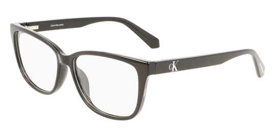 Calvin Klein Jeans CKJ22619 Glasögon