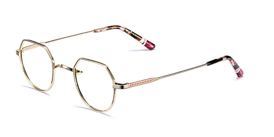 Etnia Barcelona Midtown Glasögon