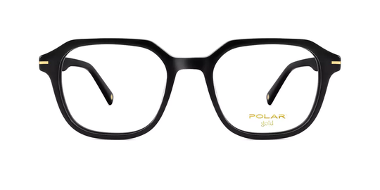 Polar GOLD 31 Glasögon
