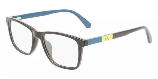 Calvin Klein Jeans CKJ22302 Glasögon