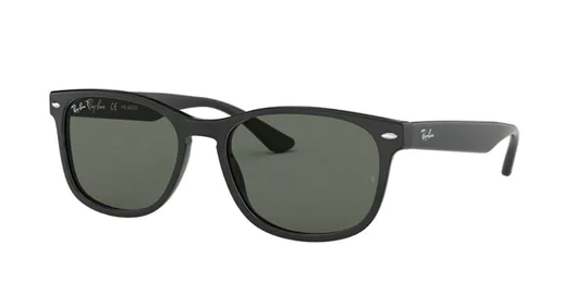 Ray-Ban RB2184 Polarized Solglasögon