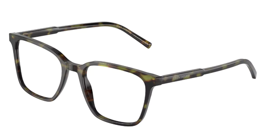 Dolce & Gabbana DG3365 Glasögon