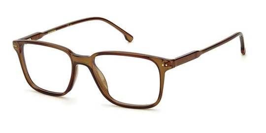Carrera 213 Glasögon