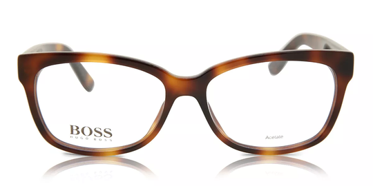 Boss by Hugo Boss Boss 0689 Glasögon