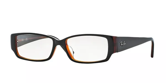 Ray-Ban RX5250 Active Lifestyle Glasögon