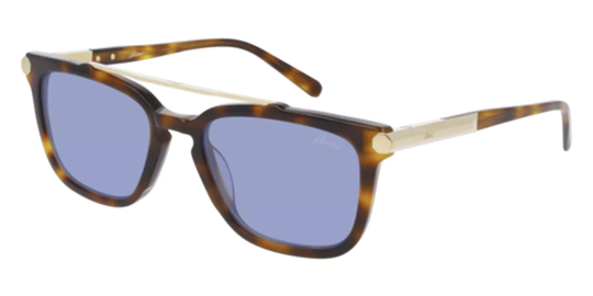 Brioni BR0078S Solglasögon