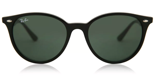 Ray-Ban RB4305 Solglasögon