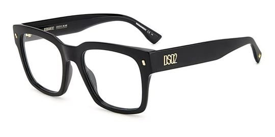 Dsquared2 D2 0066 Glasögon