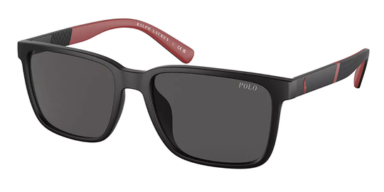 Polo Ralph Lauren PH4189U Solglasögon