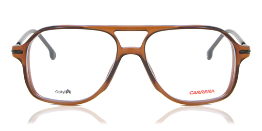 Carrera 239 Glasögon