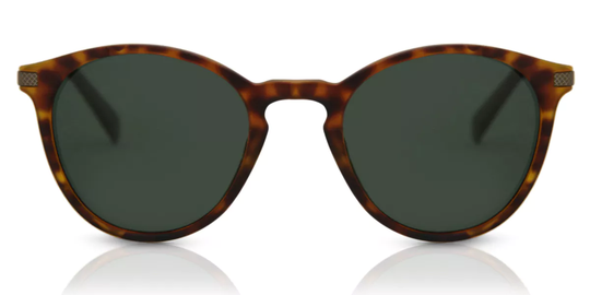 Polaroid PLD 2062/S Polarized Solglasögon